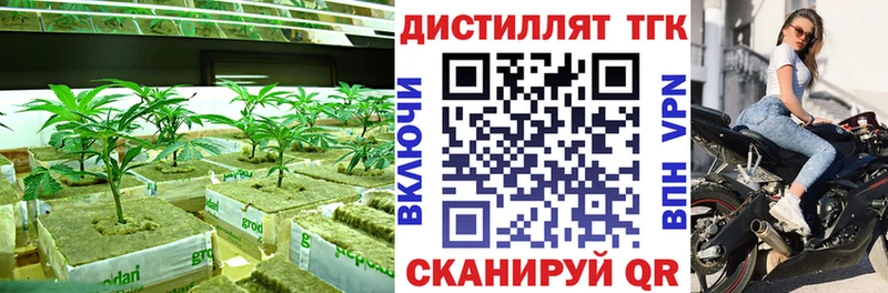 ТГК Wax  Солнечногорск 